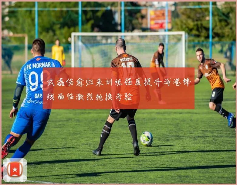 武磊伤愈归来训练强度提升海港锋线面临激烈轮换考验