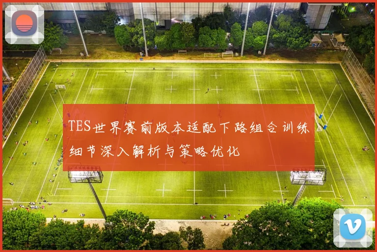 TES世界赛前版本适配下路组合训练细节深入解析与策略优化